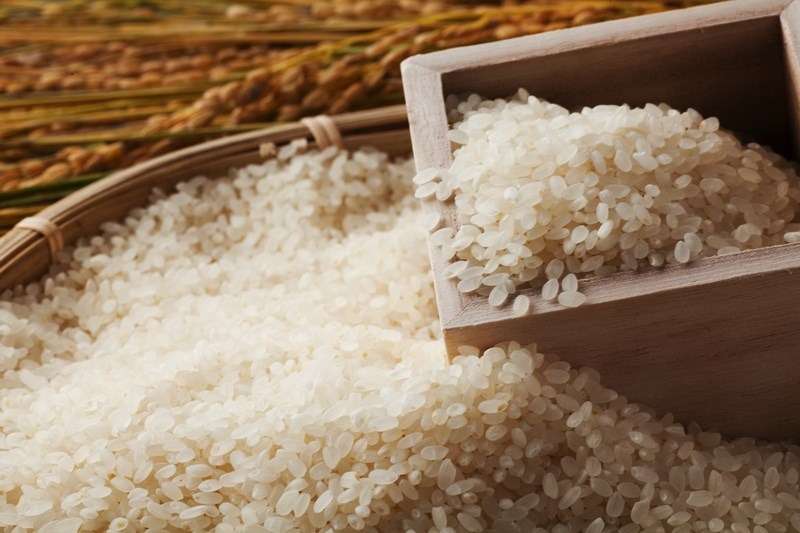 生産者の情熱と愛情がたっぷりな岐阜県産の美味しいお米です